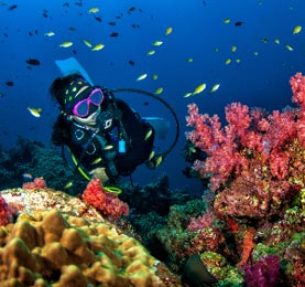 travel agetns in delhi