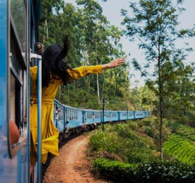 Joy My Trip Delhi travel agents